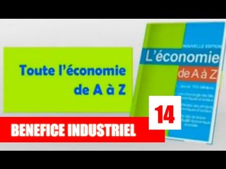 L'Economie de A à Z / Qu'est ce que le bénéfice industriel et commercial ?