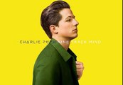 Charlie Puth Ft. Selena Gomez We Don't Talk Anymore (Remix)