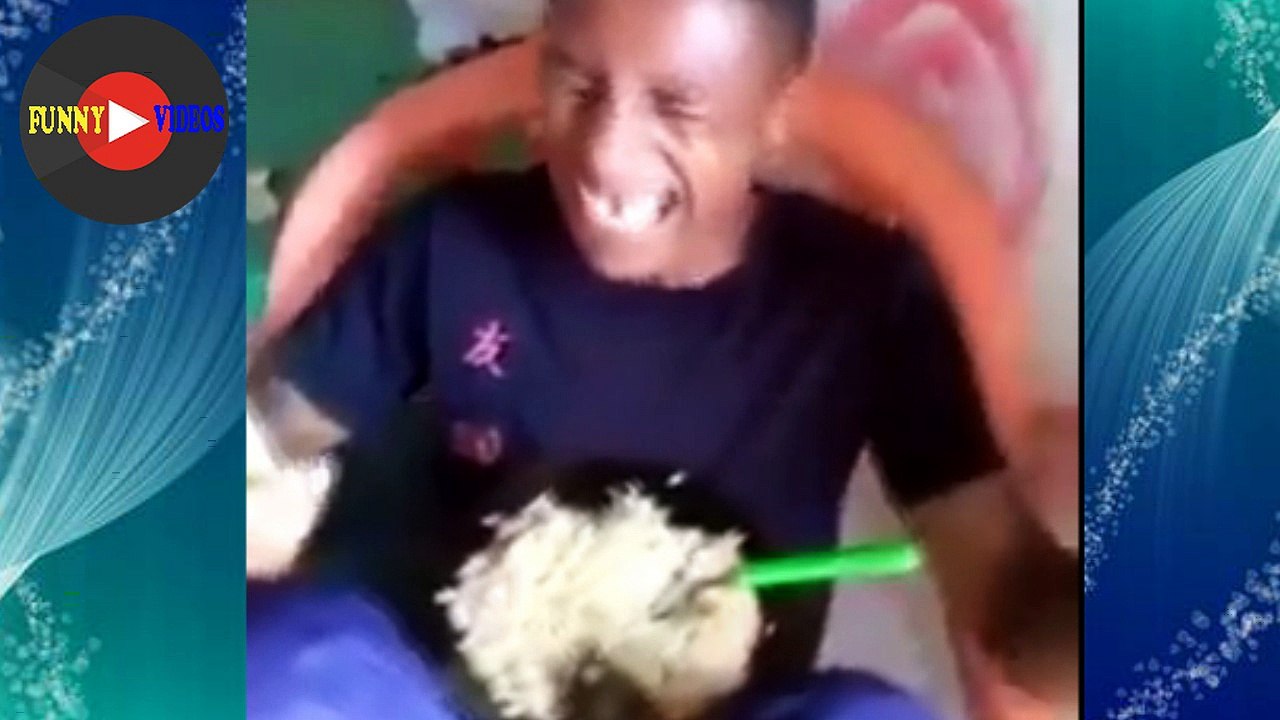 New Funny videos 2017 funny vines try not to laugh challenge