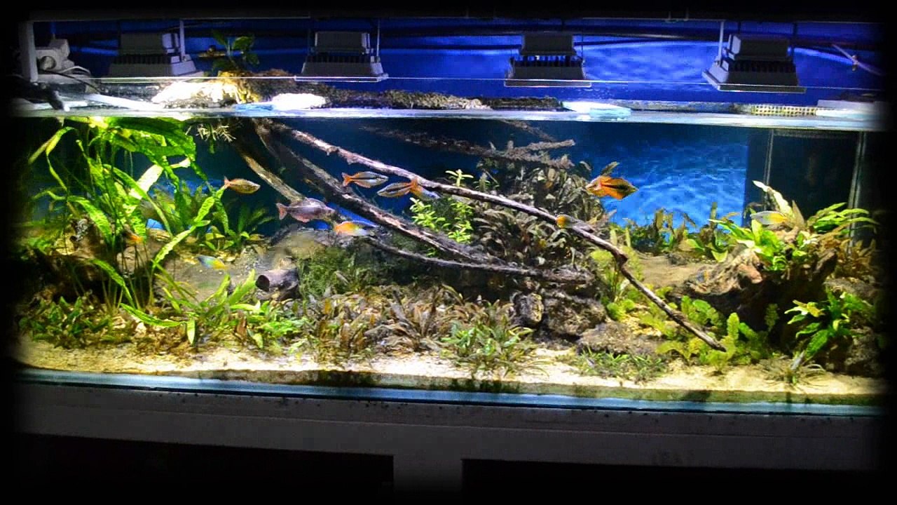 Fishr0om 2.0