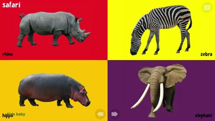 Learning Animals Names for kids - learn animals name in english
