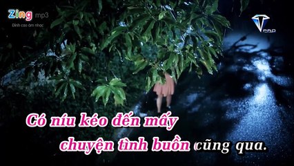 Khi Đàn Ông Lừa Dối - Vĩnh Thuyên Kim ( thúy loan cover )