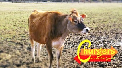 Churgers Chicken Burgers Restaurant 'So Cluckin' Good!' Commercial