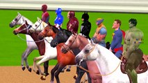 Spiderman and Ironman Cartoons & Batman And Hulk Horse Racing Videos For Children