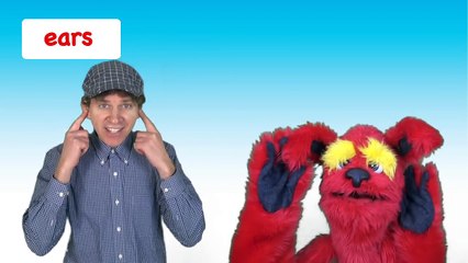 Head Shoulders Knees and Toes | Kids Song with Matt | Preschool, Kindergarten, Learn English