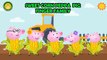 Peppa Pig Sweet Corn Finger Family | Peppa Pig Finger Family Song | Nursery Rhymes Lyrics and More