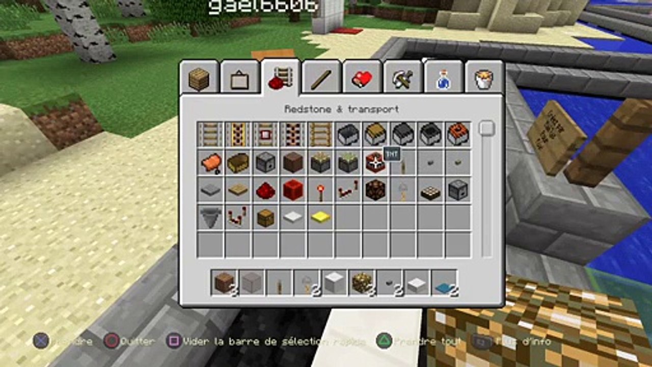 Minecraft (37)