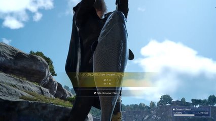 FINAL FANTASY XV - Fishing For Tide Grouper At Caem Shore - No Commentary