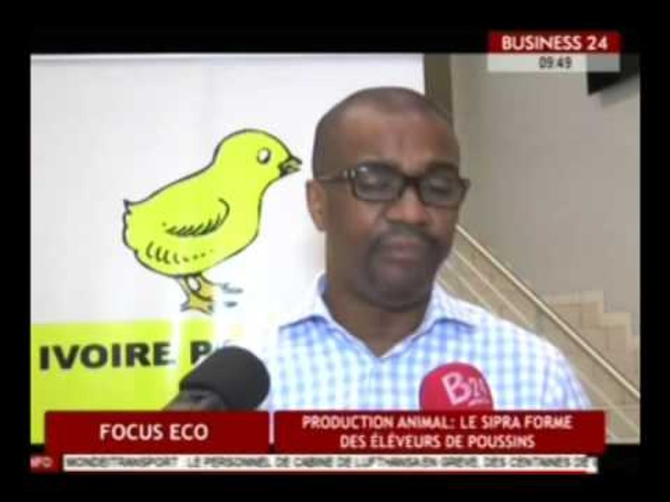 Focus Eco / Production animale - Le SIPRA forme des éleveurs de poussins