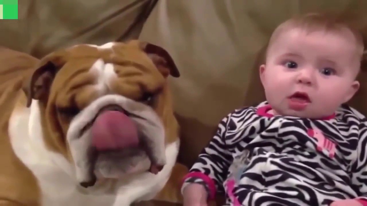 Top funny Videos 2017 ★ Stupid people doing stupid things ★ funny videos youtube Part 325