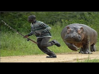 Download Video: Shoking fishing - top 10 shocking fishing moments 2016 Animals attack fishreman #hunter_fishing HQ