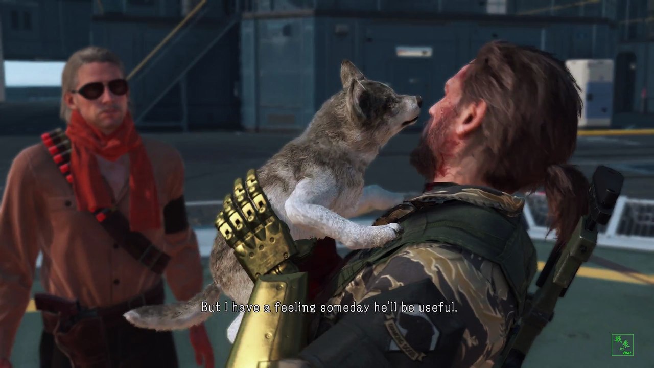 mgsvtpp 2016-12-13 D-dog