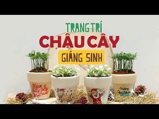 TỰ LÀM - Trang Trí Chậu Cây Giáng Sinh