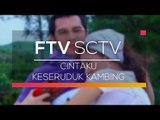 FTV SCTV - Cintaku Keseruduk Kambing