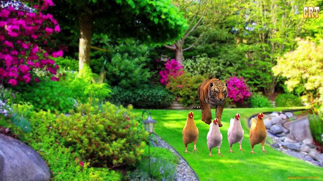 Crazy Bear Vs Gorilla Finger Family Nursery Rhymes | Animals Family Collection