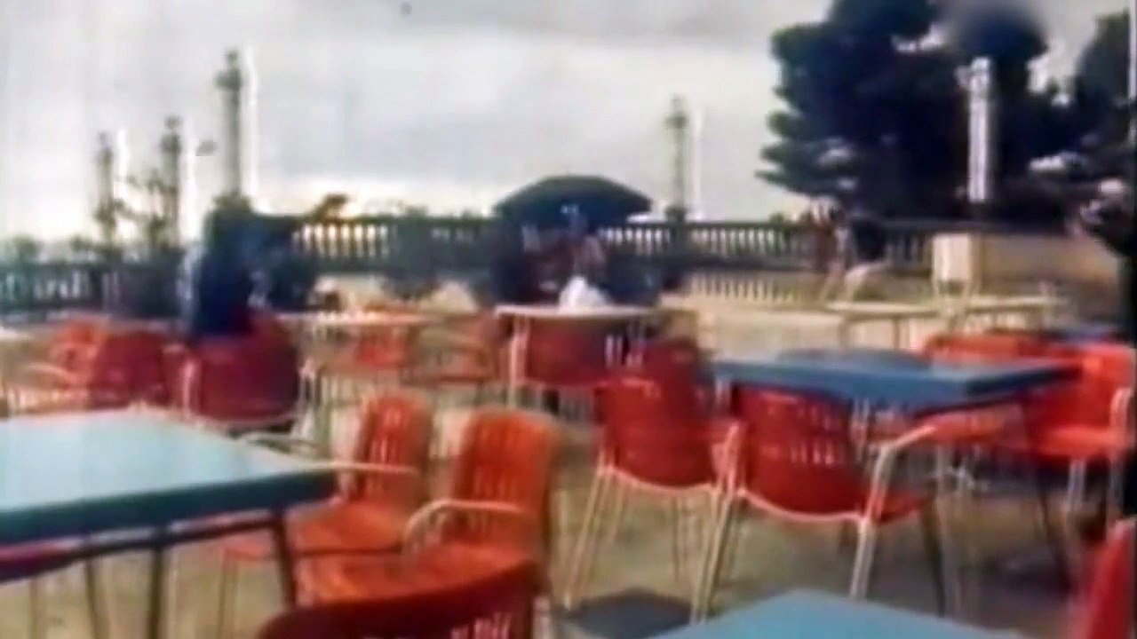 Jadranka Stojaković - Sve te više volim