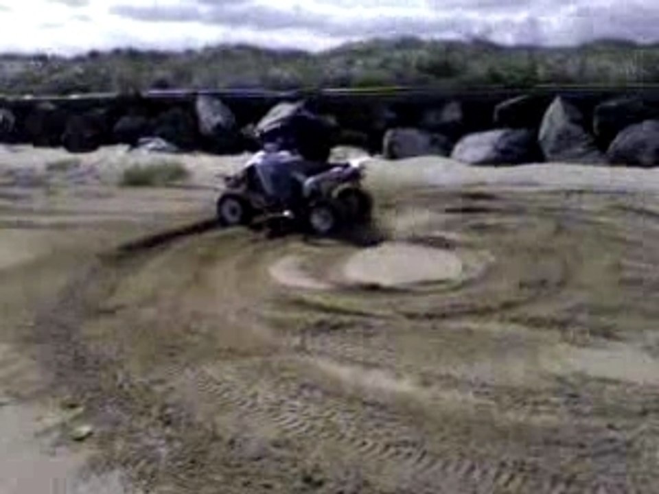 350 raptor sur la plage de gray sur mer
