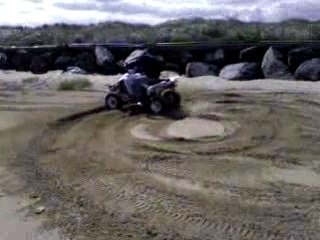 350 raptor sur la plage de gray sur mer