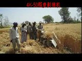 4k50 Rice reaper binder, Small rice harvesting machine, Mini paddy reaper binder, reaper binder equipment