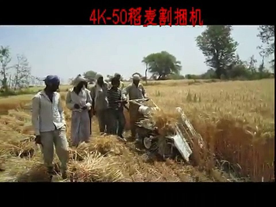 4k50 Rice reaper binder, Small rice harvesting machine, Mini paddy reaper binder, reaper binder equipment