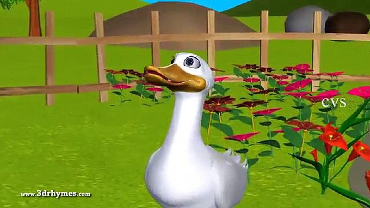 Five Little Ducks went out one day 3D Animation English Nursery Rhymes for Children
