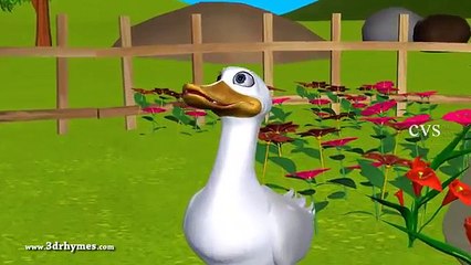 Five Little Ducks went out one day 3D Animation English Nursery Rhymes for Children