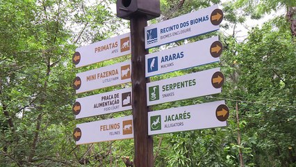 El zoo de Rio reabre puertas tras clausura por maltrato animal