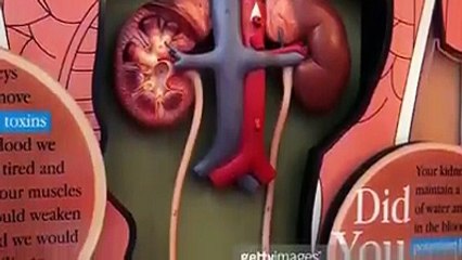 معلومات مهمة