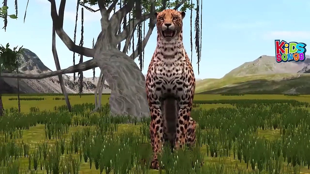 Cheetah Finger Family Nursery Rhymes | Finger Family Nursery Rhymes For Children