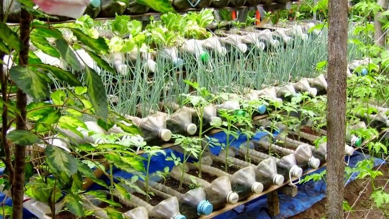 Amazing bottle garden ideas reuse plastic bottles