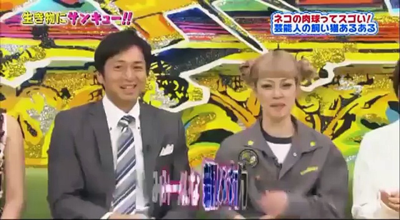 生き物にサンキュー! トコトン掘り下げ隊!! 不思議な行動だらけのネコを肉球から掘り 2016年12月16日