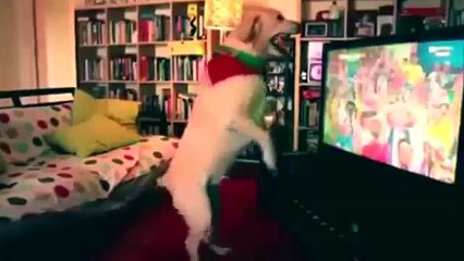 Funny Fails videos - Best funny Pranks- try not to laugh