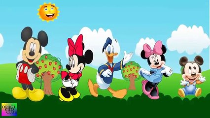 Download Video: Finger Family Mickey Mouse Clubhouse Daddy Finger Song Mickey Mouse Nursery Rhymes Cartoon