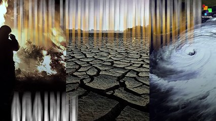 The Crimes of Exxon Mobil