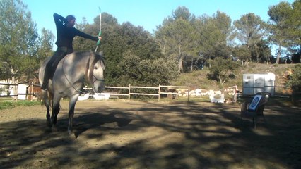 Tir à l'Arc à cheval