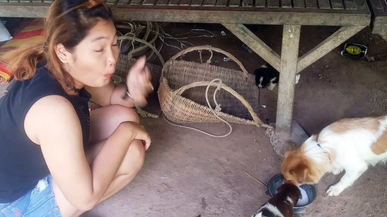 ចាន់ថាអោយទឹកដោះគោមេឆ្កែនិងកូនឆ្កែ