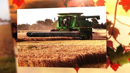 How To Hire The Right Insurance For Farmers