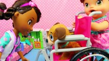 Doc McStuffins Pet Vet Findo Gets Wheel Chair at Popo Ambulance Hospital with Baby Alive Lucy