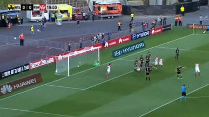 Santalab Amazing Goal - Wellington Phoenix vs Western Sydney Wanderers  0-1 Australian A-League  17-12-2016 (HD)