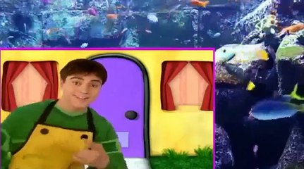 Colors Everywhere! - Blues Clues Episode 2