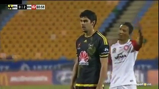 Wellington Phoenix vs Western Sydney Wanderers 1-2 Goal Gui Finkler A-League 17-12-2016
