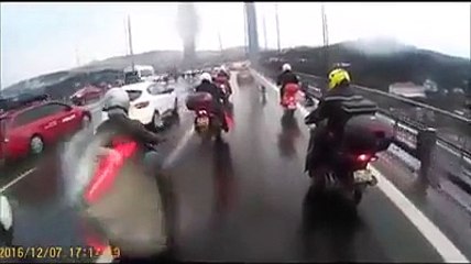 Un groupe de motards escorte un chien égaré sur l'autoroute !