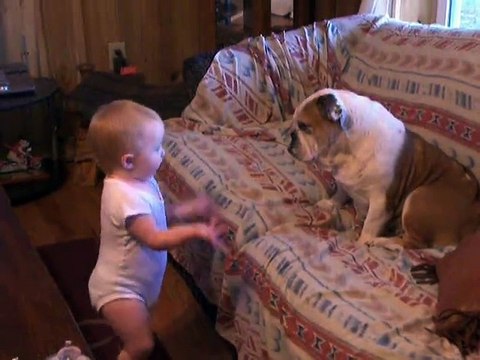 Quand tu racontes une histoire à ton chien