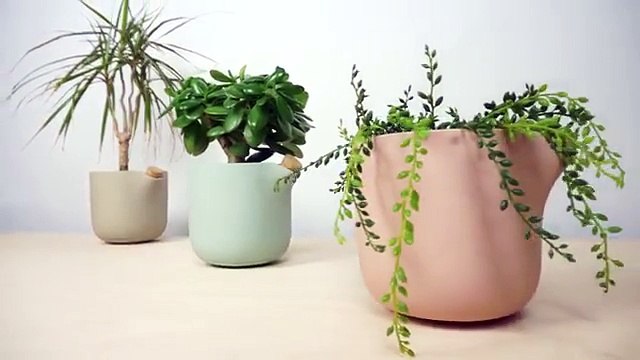 Ce pot de fleurs vous dit quand votre plante a besoin d'eau !