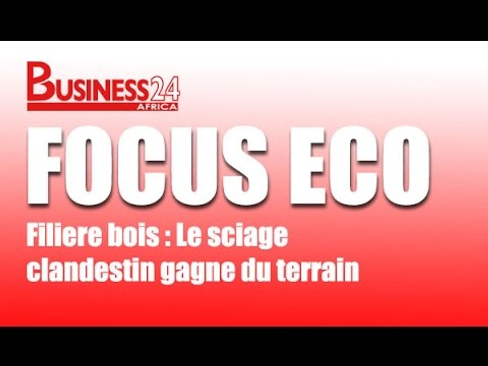 Focus Eco /  Filière bois : Le sciage clandestin gagne du terrain