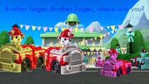 PAW PATROL Finger Family Song Daddy Finger Nursery Rhymes