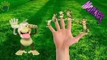 Finger Family Five Little Monkeys | English Children Nursery Rhymes | Finger Family Kids Songs