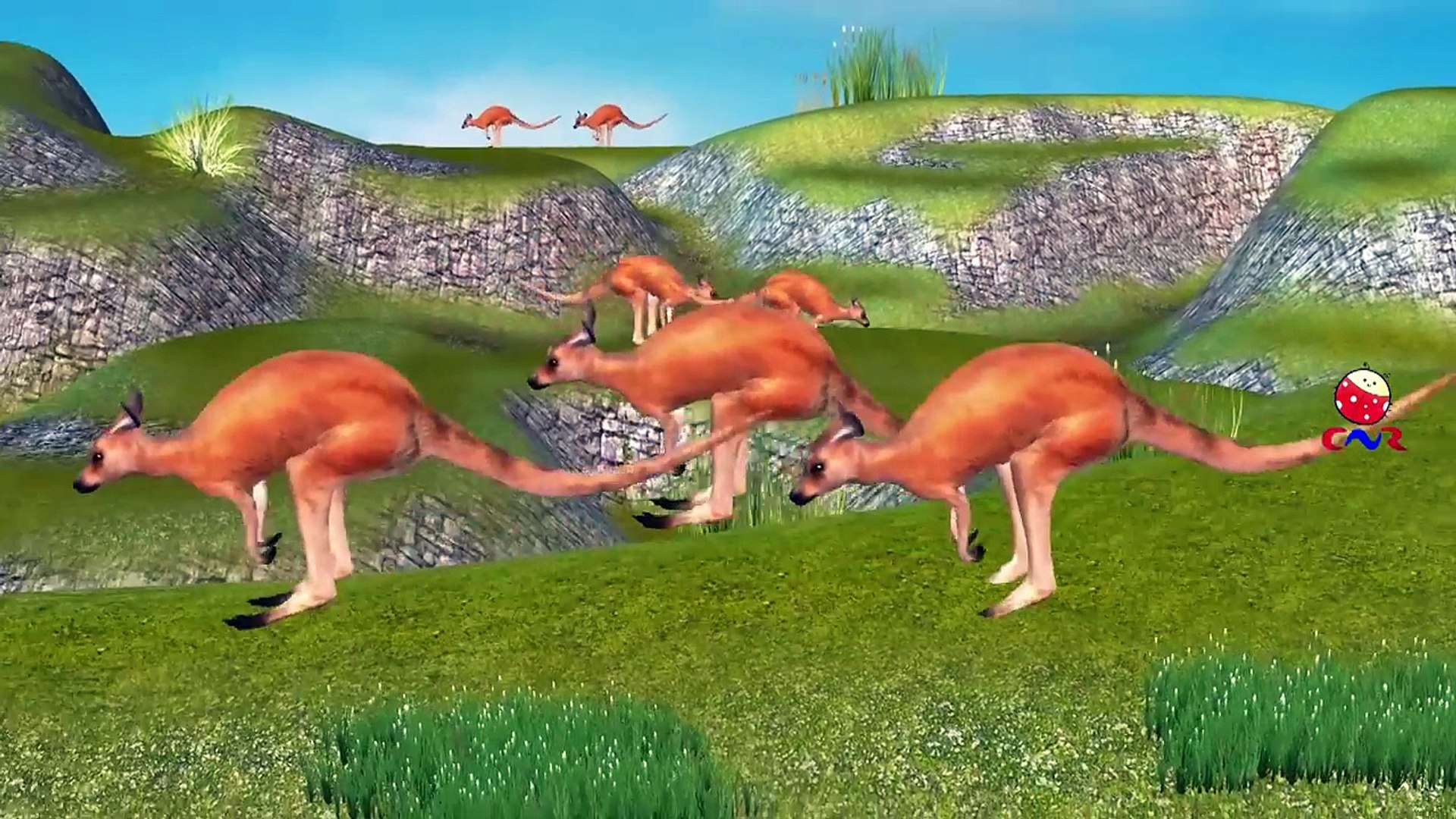 Kangaroo Cartoon Playing And Singing Finger Family Nursery Rhymes For Children - Australian Kangaroo