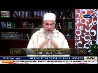 انصحوني  الجزائريون شعب البارود.. هذا الاحتفال بالمولد النبوي !!