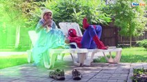 Spiderman and Frozen Elsa's Soccer ball & Beach ball w/ Ironman & Princesses